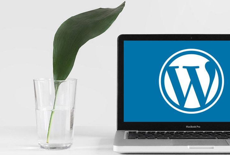 Kunci untuk Membangun Situs Web WordPress yang Stabil & Berkelanjutan