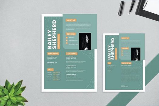 20+ Template Resume & CV Photoshop Terbaik (Template Resume PSD